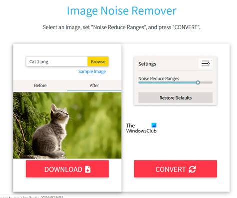 Video noise removal software free download.  Upload, process with AI, and down...