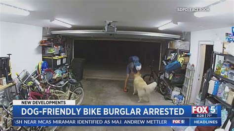 Video of man petting dog before stealing bike from garage leads to arrest