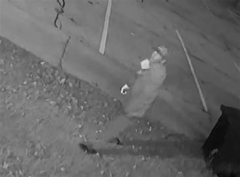 Video released of man wanted for allegedly setting Mississauga restaurant on fire