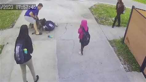 Video released showing dog attack on 10-year-old boy in Miami Shores
