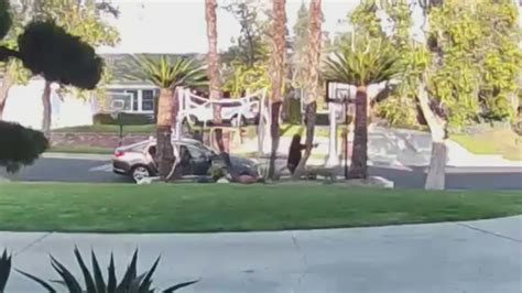 Video shows gunman open fire on man arriving home in Northridge