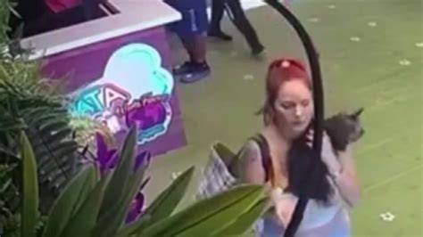 Video shows woman stealing Yorkie worth $4.5K from Doral pet store