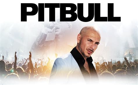 Videos Pitbull. 