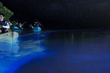 Vieques Bioluminescent Bay Tours - Abe’s Snorkeling