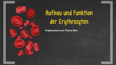 Viertes internationales symposium über struktur und funktion der erythrocyten. - Manuali gratuiti per macchine da cucire pfaff.