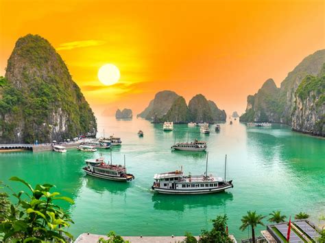 Vietnam trip. What to see in Vietnam in two weeks, South to North. Day 1 & 2. Ho Chi Minh City – Cu Chi Tunnels, Mekong Delta, markets. Day 3, 4 & 5. Nha Trang – pagodas, markets, egg baths and snorkelling tour. Day 6, 7 & 8. Hoi An – shopping, beaches, delicious food … 
