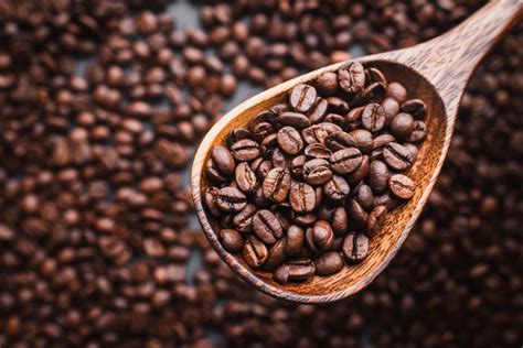 Vietnamese coffee beans. Things To Know About Vietnamese coffee beans. 