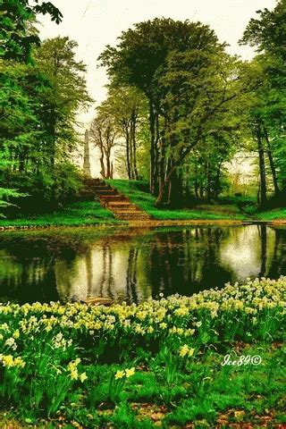 View 15 Background Design Animated Nature Gif Nokomoru