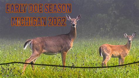 View Single Post - Michigan Early doe season?? - HuntingNet.com