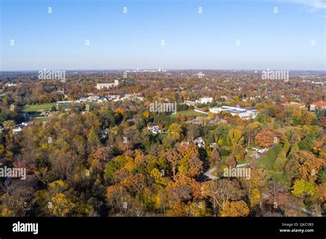 View the profile of Towson