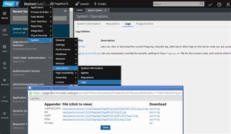 Viewing logs Pega