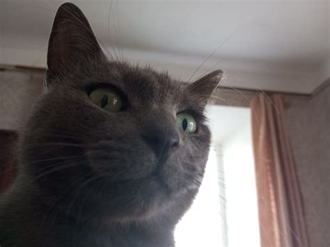 Vikakisa Leaked 🍆 PORN