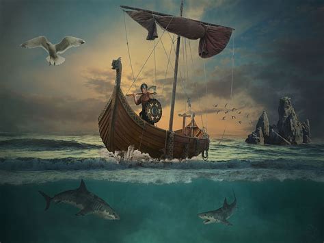 Viking Navigation A Beginners Guide for Kids