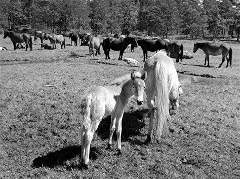 Vildaswede Leaked PORN 232 Photos