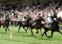 Ville de Durtal - Courses Hippiques de Durtal - Hippodrome.