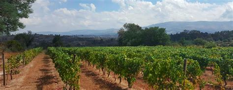 Vin hemleverans snabbt