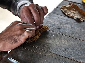 Vinales the Tobacco Route Deep Cuba Travel