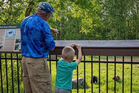 Vince shute wildlife sanctuary. Jul 1, 2023 · Monday is the LAST day you can register for our paint a bear event as we need to send the company a total head count for supplies! Enjoy refreshments, appetizers, painting and a night of shopping!... 