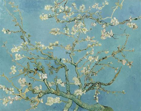Vincent van gogh almond blossom. The little boy was named Vincent Willem, after Vincent. Van Gogh, who was extremely close to his younger brother, immediately set about making a painting of his favorite subject: blossoming branches against a blue sky. The painting was meant as a gift for the newborn. Van Gogh choose the almond tree as a symbol of new life as the tree blooms as ... 