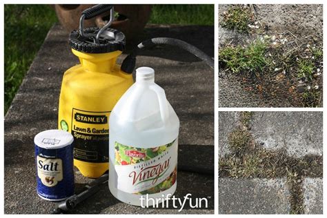 Vinegar salt weed killer recipe. 11-Jan-2024 ... Mix one gallon of white vinegar, one cup of salt, and one tablespoon of Dawn dish soap in a container. Pour this mixture into a spray bottle. 