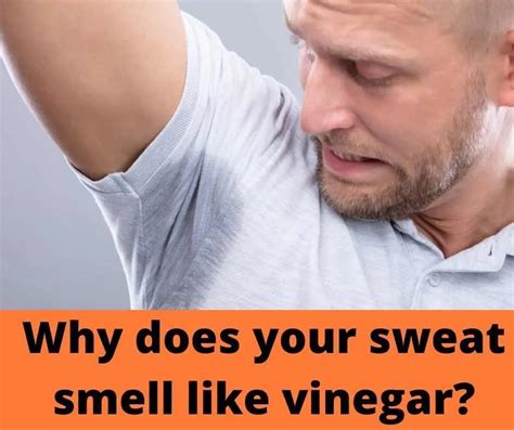 Vinegar smelling night sweats. Four reasons why feet can smell like vinegar. The sweat glands in your feet may go into overdrive if you: Are an athlete or exercise regularly. Have a condition that leads to excessive sweating ... 