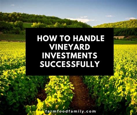 Vineyard investment. Things To Know About Vineyard investment. 