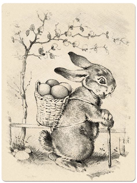 Vintage Bunny Drawings