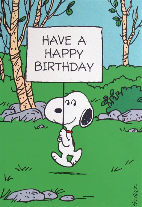 Vintage Hallmark PEANUTS Greeting Card Pirate SNOOPY 4 year old Birthday