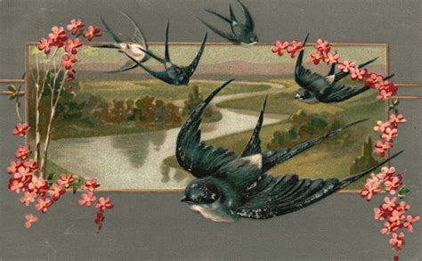 Vintage Postcard 1909 Bird