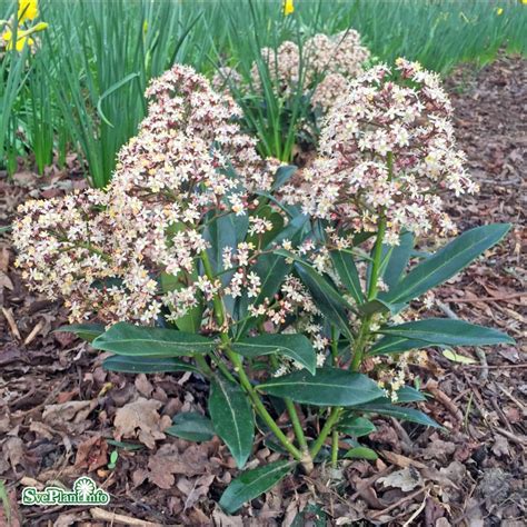 Vinterbr&ouml;llop Norrk&ouml;ping &ndash; Jessica & Bj&ouml;rn &ndash; Dawning Love