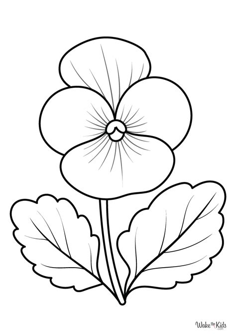 Violet Coloring Page