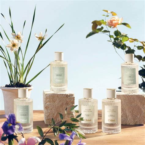 Profile picture of Violette Runolfsdottir