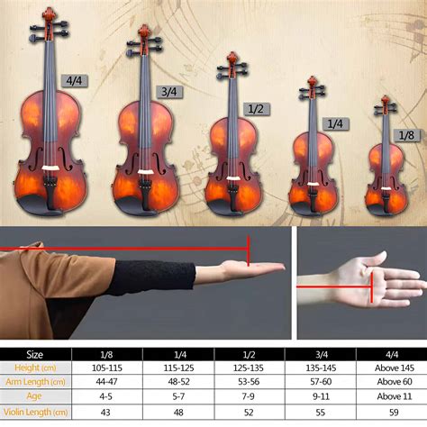 Violin sizes.  Find out the factors that influence violin size, the differ...