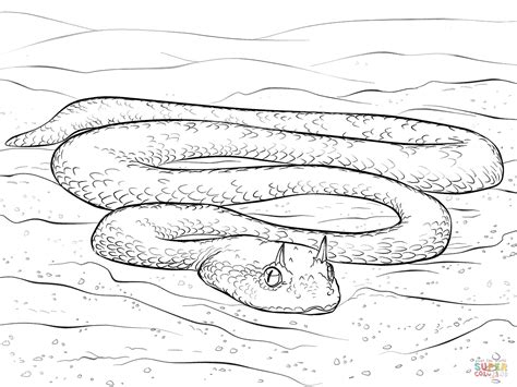 Coloring Sheets For Pre K