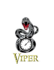 Viper timing results. © VIPER TIMING 2014. Afforable race timing for all! 