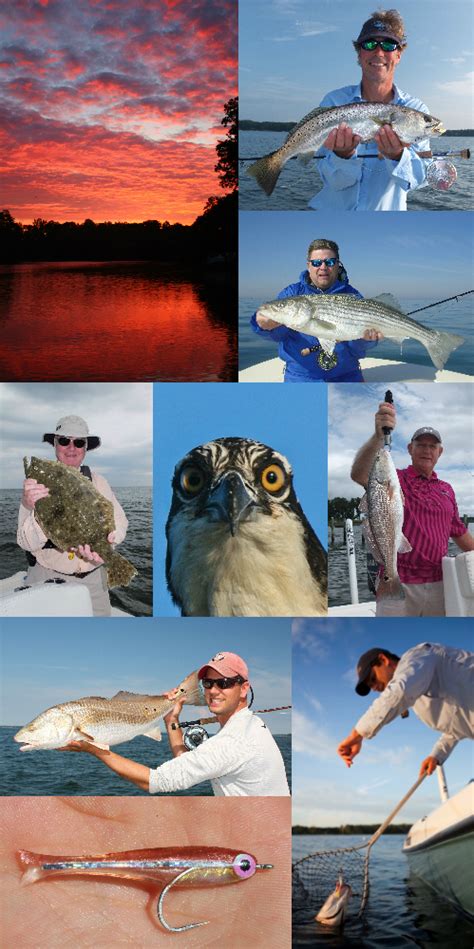 Virginia Saltwater Fishing Charters on Chesapeake Bay - Fly Fishing ...