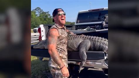 Virginia beach escort alligator : Rachel ryder houston escort
