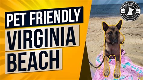 Virginia beach va pet friendly. 