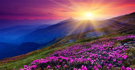 Virginia funeral home current services.  Join our grief support program for ...