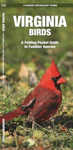 Read Virginia Wildlife A Folding Pocket Guide To Familiar Species By James Kavanagh