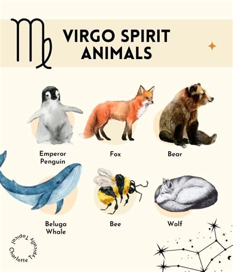 Virgo animal. zodiac signs. Virgo: Traits, Compatibility, and More. Liz Roby. Updated April 29, 2024. Common Virgo traits include being reliable, logical, and analytical. Virgos have brilliant … 