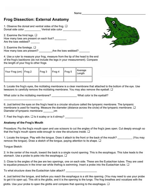 Virtual Frog Dissection Worksheet Answers