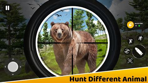 Virtual Hunting Bear APK Download for Android 