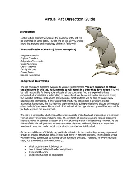 Virtual Rat Dissection Guide