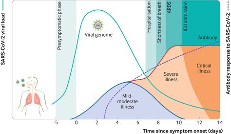 Virus load and clinical features during the acute phase of