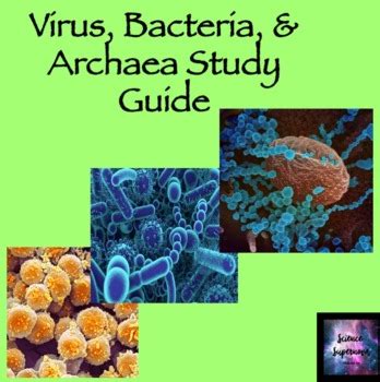 Viruses and archaea study guide answer key. - Purpose driven life study guide wainwright baptist.