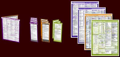 VisiBone JavaScript Card