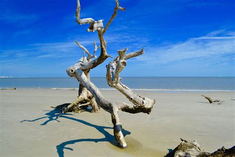 Visit Jekyll Island State Park in Jekyll Island Expedia