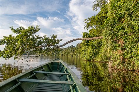 Visit The Amazon Rainforest in Brazil Audley Travel