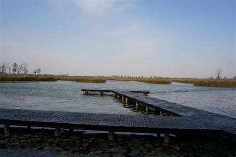 Visit Tuanbowa Nature Reserve in Jinghai County Expedia